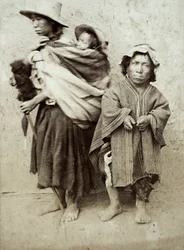 Tipos de Cajamarca